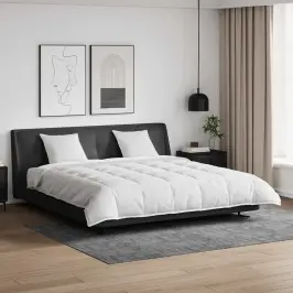 Antklodžių Rinkinys Su Pagalve 3 Pcs Balta Plunksna Antklodžių Rinkinys Su Pagalve 3 Pcs Balta Plunksna