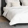 Sega Ar Spilvenu 3 Pcs Balts 240 X 220 Cm Mikrošķiedra
