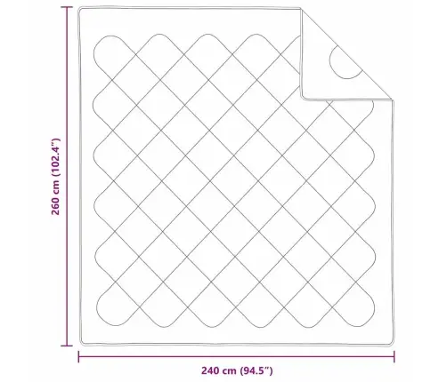 Antklodė Su Pagalve 3 Pcs Balta Mikropluoštas