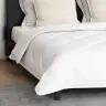 Antklodė Su Pagalvėmis Su Pagalve 3 Pcs Balta Mikropluoštas