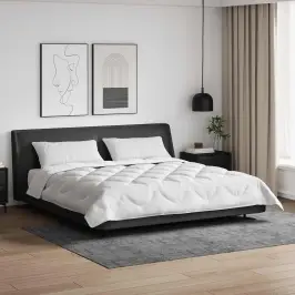 Antklodė Su Pagalve 3 Pcs Balta Mikropluoštas