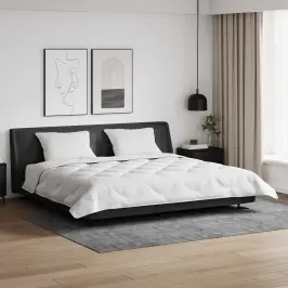 Žiemos Antklodė Su Pagalve 3 Pcs Balta Mikropluoštas