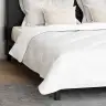 Žiemos Antklodė Su Pagalve 3 Pcs Balta Mikropluoštas