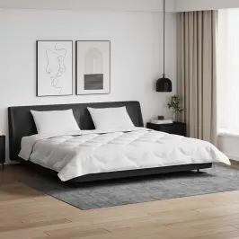 Talve Tek Padjaga 3 Pcs Valge Mikrofiiber