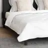 Antklodžių Rinkinys 3 Pcs Balta Mikropluoštas Ir Pūkų Plunksnos