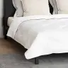 Antklodė Su Pagalvėmis 3 Pcs Balta Mikropluoštas Ir Pūkai