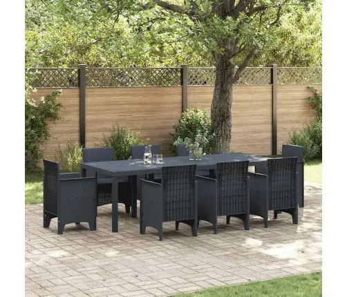 Aialaud Antratsiit 250 X 100 X 73 Cm Polürotang