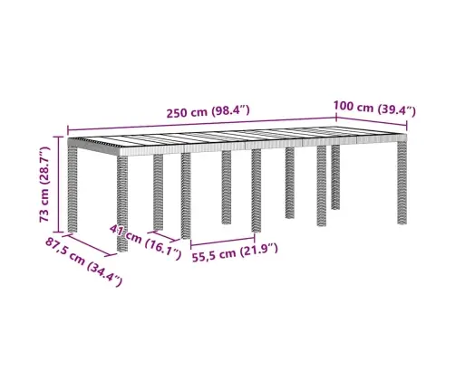 Dārza Galds Gaiši Pelēks, 250 X 100 X 73 Cm, Poli Rattan. Vidaxl
