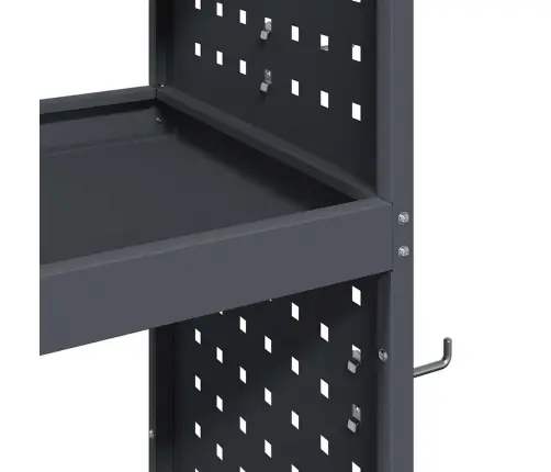 Instrumentu Ratiņi Ar Plauktu Ar Riteni Ar Uzglabāšanu Antracīts 65 X 35 X 111 Cm Vidaxl
