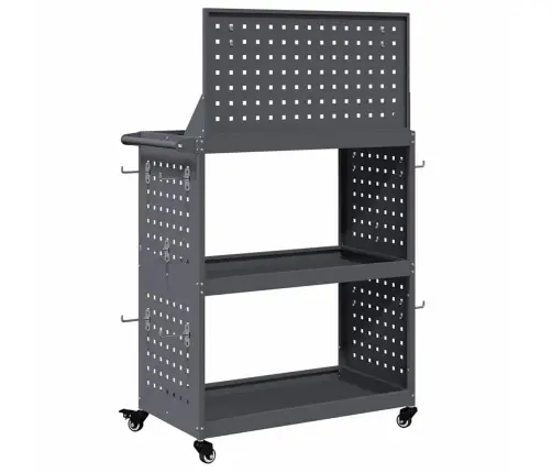 Instrumentu Ratiņi Ar Plauktu Ar Riteni Ar Uzglabāšanu Antracīts 65 X 35 X 111 Cm Vidaxl