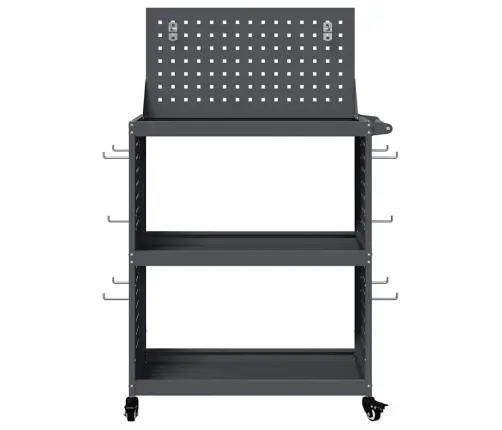Instrumentu Ratiņi Ar Plauktu Ar Riteni Ar Uzglabāšanu Antracīts 65 X 35 X 111 Cm Vidaxl