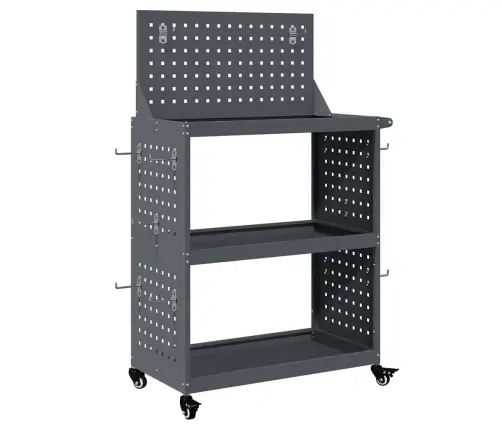 Instrumentu Ratiņi Ar Plauktu Ar Riteni Ar Uzglabāšanu Antracīts 65 X 35 X 111 Cm Vidaxl