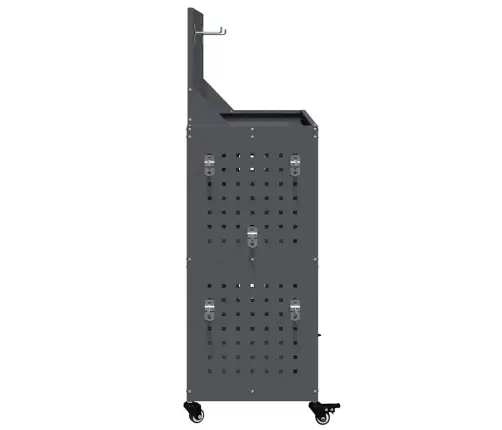 Instrumentu Ratiņi Ar Plauktu Ar Riteni Ar Uzglabāšanu Antracīts 65 X 35 X 111 Cm Vidaxl