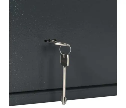 Drošības Kaste Ar Atslēgu Tumši Pelēkā 25X35X25 Cm Tērauds Vidaxl