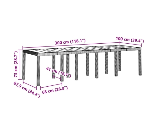 Baltais Dārza Galds 300X100X73 Cm Polirattans Vidaxl