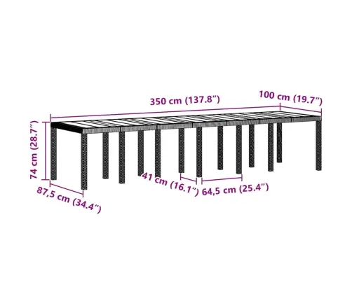 Sodo Stalas Balta 350 X 100 X 73 Cm Poliratanas