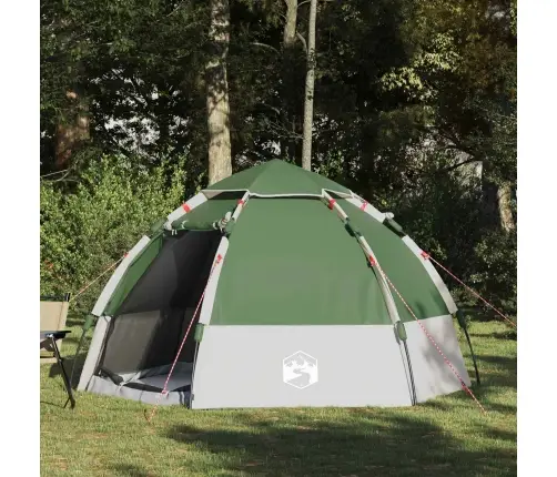 Momentāna Telts Ar Uzglabāšanu Zaļa 280 X 280 X 160 Cm Tērauds Vidaxl