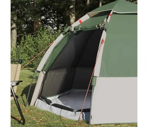 Momentāna Telts Ar Uzglabāšanu Zaļa 280 X 280 X 160 Cm Tērauds Vidaxl