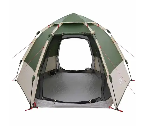 Momentāna Telts Ar Uzglabāšanu Zaļa 280 X 280 X 160 Cm Tērauds Vidaxl
