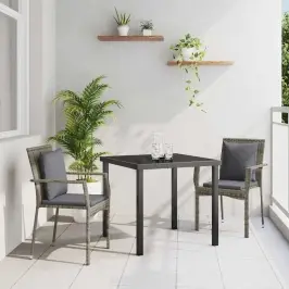 Aia Söögilaudade Komplekt Padjaga 3 Pcs Hall Polürooster