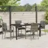 Aia Söögilaudade Komplekt Padjaga 5 Pcs Hall Polürooster Aia Söögilaudade Komplekt Padjaga 5 Pcs Hall Polürooster