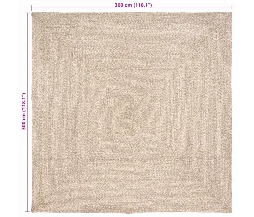 Kilimas Natūrali Ir Balta 300 X 300 Cm Džiutas