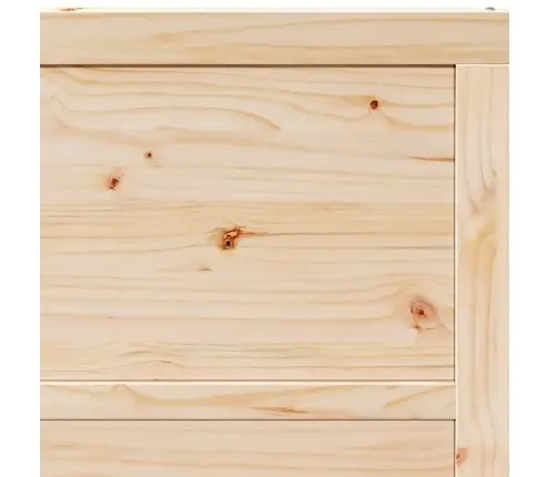 Slankios Durys Natūrali 80 X 208 Cm Kietos Pušies Mediena