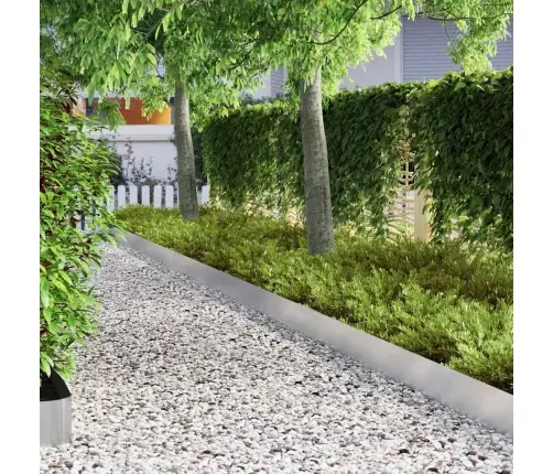 Vejo Kraštas Sidabro 450 X 0.05 X 15 Cm Nerūdijantis Plienas