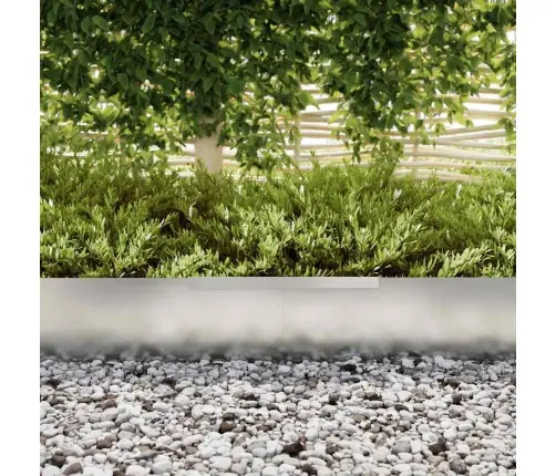 Dārza Zāliena Malas Sudraba 450 X 25 Cm Cinkots Tērauds Vidaxl