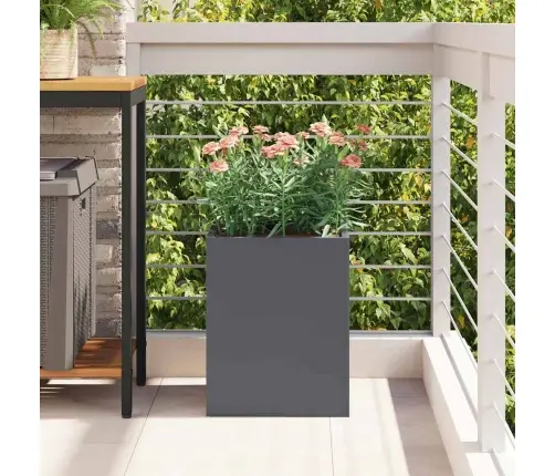 Dārza Stādītājs Antracīta 50 X 32 X 40 Cm Vidaxl