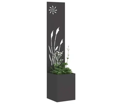 Aia Privaatsuse Kate Must 32 X 140 Cm Külmpruun Teras