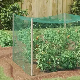 Putnu Aizsardzības Tīkls Zaļa 2 X 25 M Hdpe Vidaxl