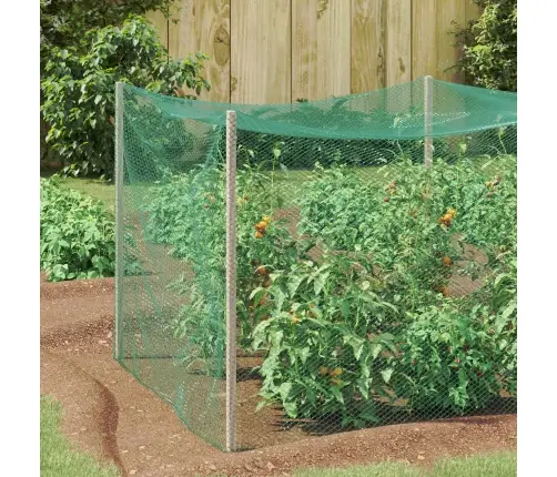 Paukščių Apsaugos Tinklas Žalia 2 X 25 M Polietilenas