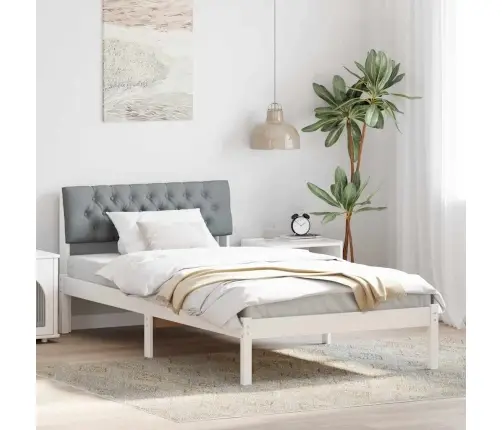 Beti Raam Peaga Valge Ja Helehall 100 X 200 Cm Männipuit