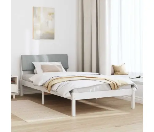 Lovos Rėmas Balta Ir Šviesiai Pilka 100 X 200 Cm Pušies Masyvas