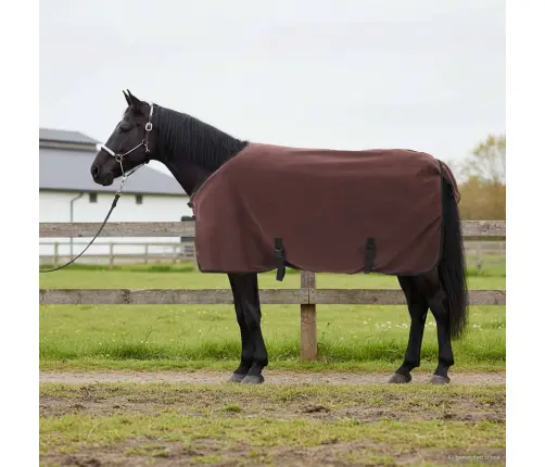 Zirgu Sega Pilnīgs Tumši Brūns Poliesters Vidaxl