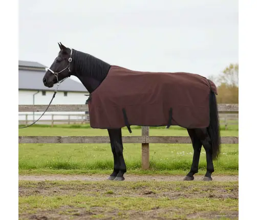Hobuste Kätter Tumepruun Polüester