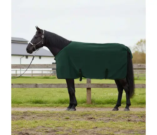 Zirgu Sega Pilnīgi Tumši Zaļa Poliesters Vidaxl