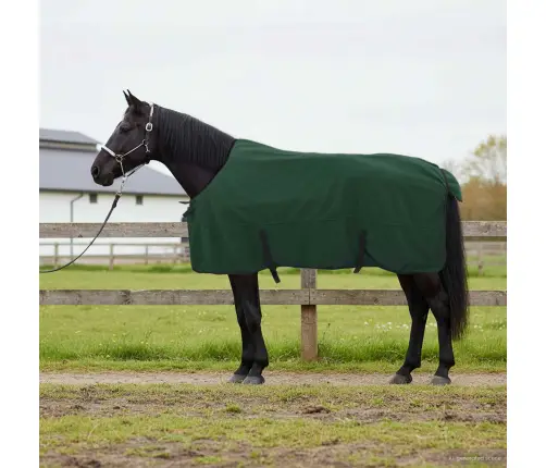 Hobuste Kätter Tume Roheline Polüester