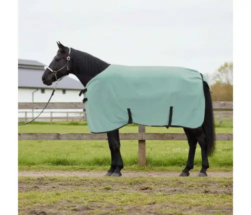 Zirgu Sega Īpaša Zaļa Poliesters Vidaxl