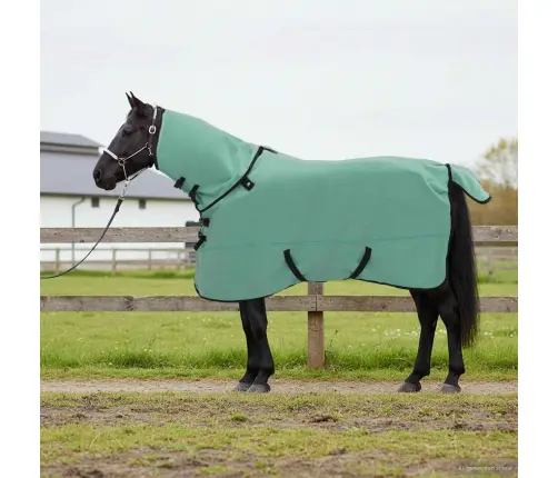 Zirgu Sega Īpaša Zaļa Poliesters Vidaxl