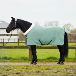 Zirgu Sega Pilnīgi Tumši Zaļa 145 Cm Polāra Poliestera Vidaxl