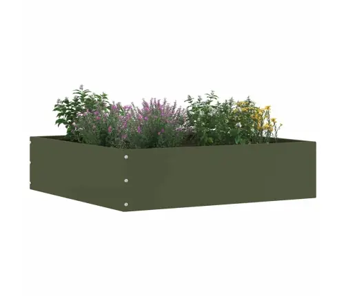 Murupiire Oliiviroheline 50 X 50 X 13 Cm Teras