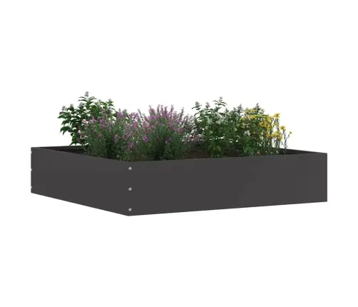 Zāliena Apmale 6 Pcs Melna 60 X 60 X 13 Cm Tērauds Vidaxl