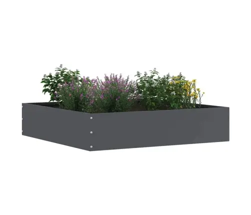 Zāliena Apmale 6 Pcs Antracīts 60 X 60 X 13 Cm Tērauds Vidaxl