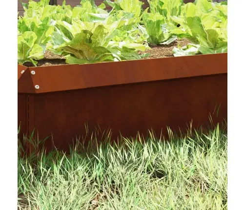 Sraigių Tvora Rūdijanti 50 X 3,5 X 25 Cm