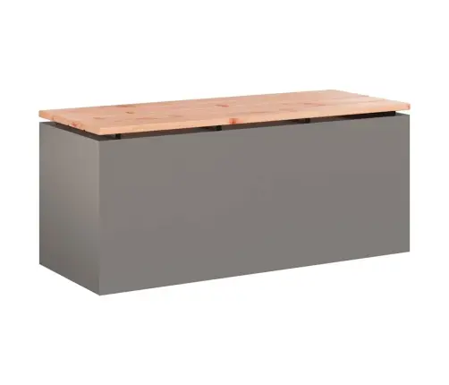 Dārza Sols Rūsa 100 X 40 X 43 Cm Novecināts Tērauds Vidaxl