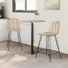 Bāra Krēsls 2 Pcs Dabiska 44,5 X 54,5 X 97,5 Cm Raten Un Dzelzs Vidaxl