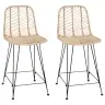 Bāra Krēsls 2 Pcs Dabiska 44,5 X 54,5 X 97,5 Cm Raten Un Dzelzs Vidaxl