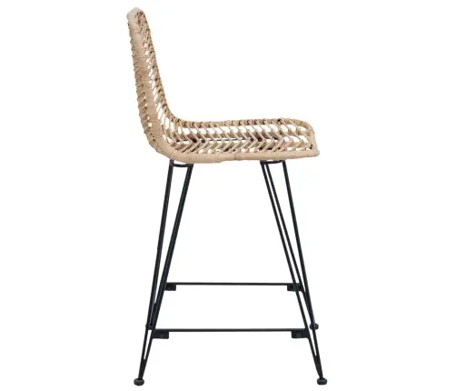 Bāra Krēsls 2 Pcs Dabiska 44,5 X 54,5 X 97,5 Cm Raten Un Dzelzs Vidaxl